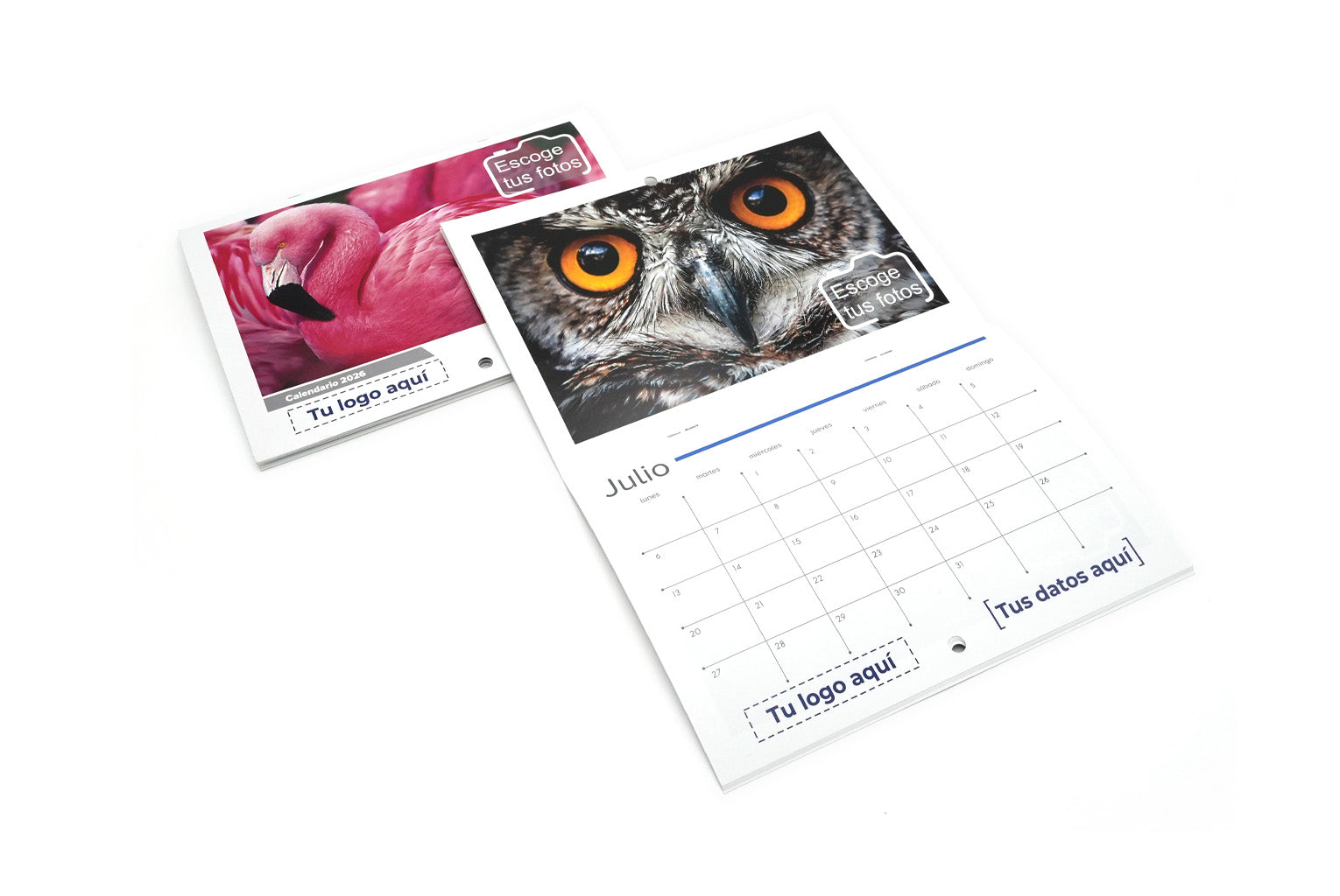 Calendarios de pared engrapados 2026 personalizados con fotos.