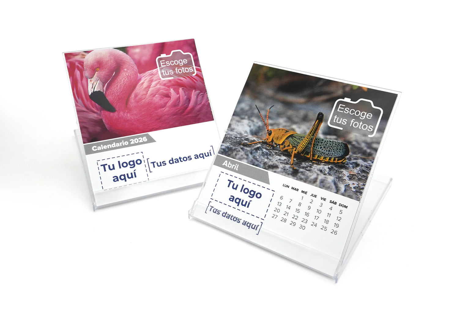 Calendarios de escritorio 2026 personalizados. Caja CD.