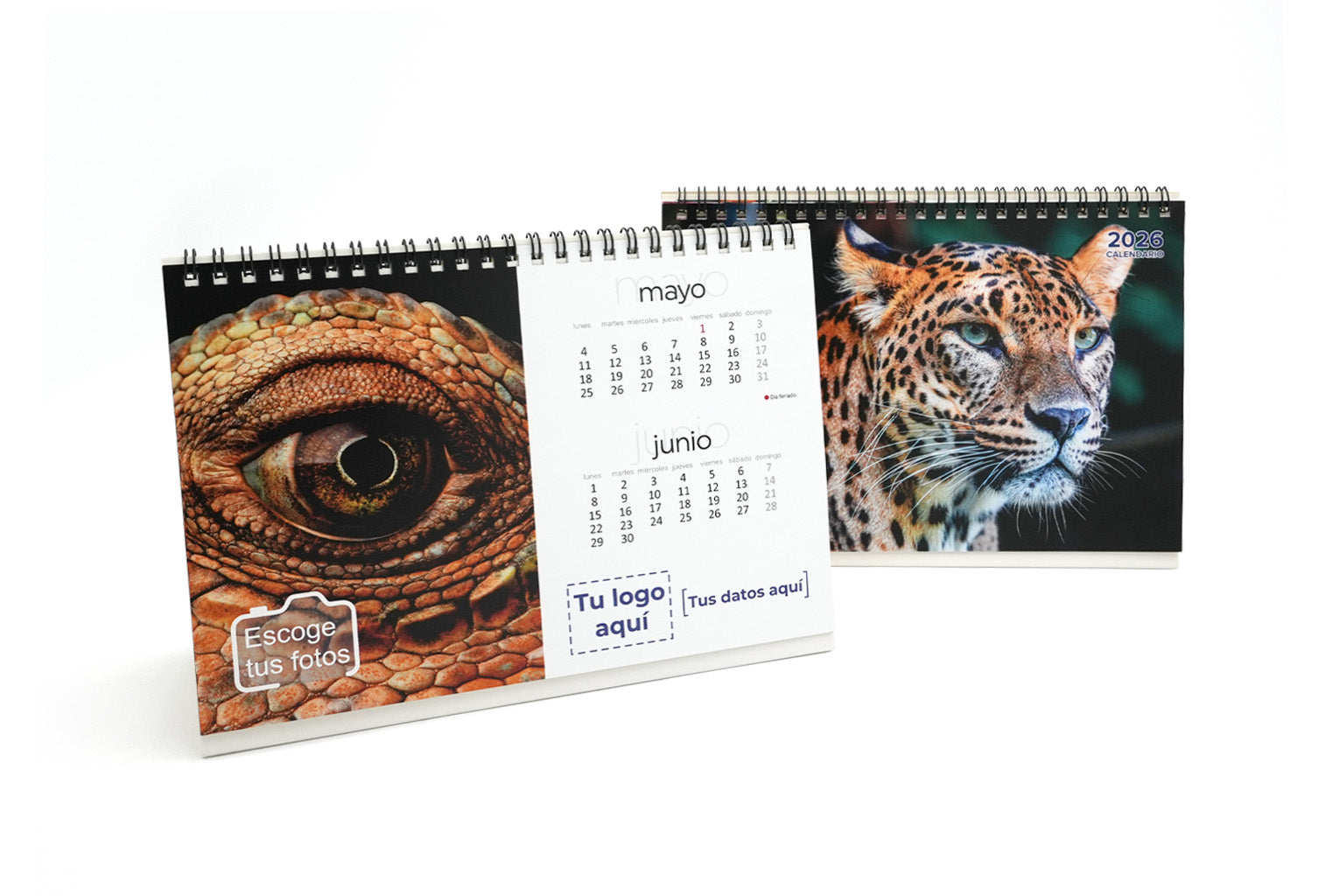 Calendarios de escritorio 2026 personalizados. 22 x 15 cm.