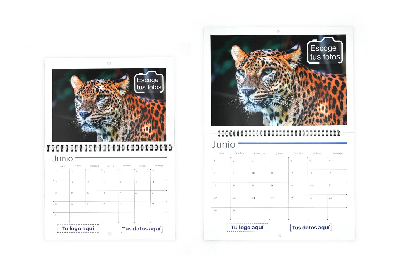 Calendarios wire-o 2026 personalizados. Tamaños.