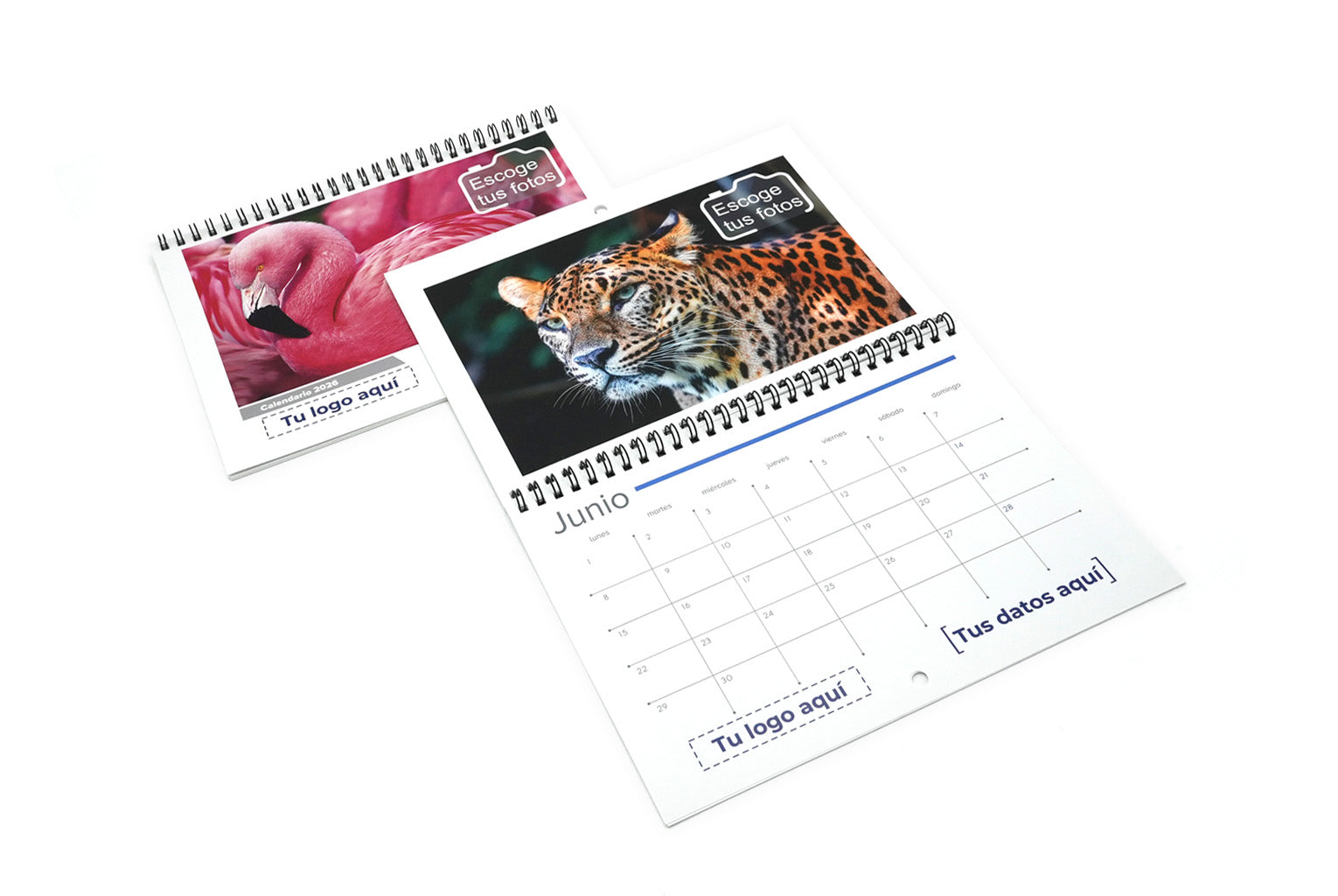 Calendarios wire-o 2026 personalizados con fotos.